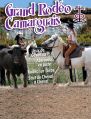 rodeo camarguais 2022