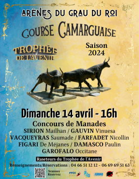 14.04.24 - COURSE CAMARGUAISE