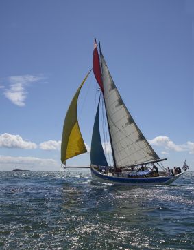 Sortie journée Houat haute saison