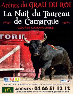 LA NUIT DU TAUREAU DE CAMARGUE 2024