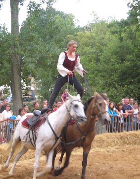 Fête Médiévale Grand-Fougeray 2024