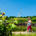 Chemin Gourmand