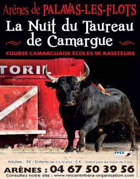 LA NUIT DU TAUREAU DE CAMARGUE 2024