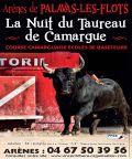 LA NUIT DU TAUREAU DE CAMARGUE 2024