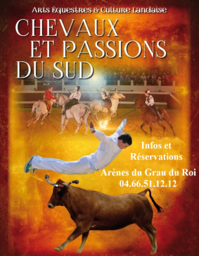 CHEVAUX ET PASSIONS DU SUD