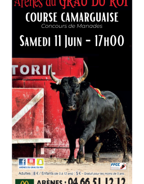 11.06.22 - COURSE CAMARGUAISE