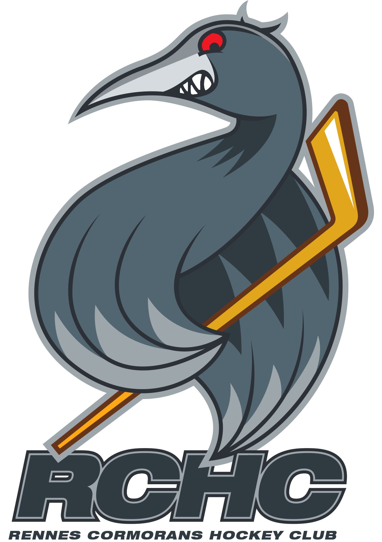 Rennes Cormorans HC - Rennes vs Bordeaux - Rennes - Billetterie Webgazelle