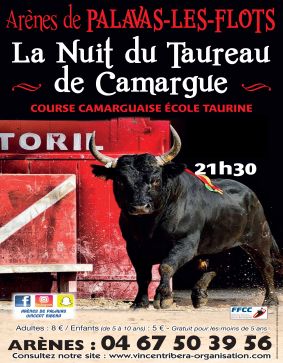 la nuit du taureau de camargue 2020