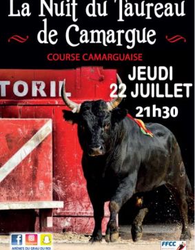 LA NUIT DU TAUREAU DE CAMARGUE 2021