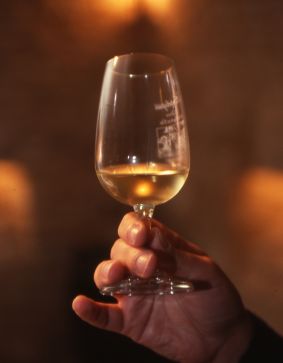 Atelier vins et gourmandises
