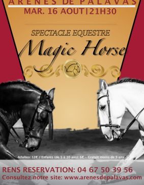 SPECTACLE EQUESTRE MAGIC HORSE