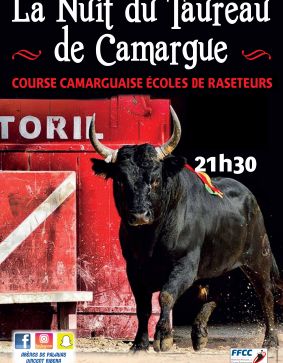 LA NUIT DU TAUREAU DE CAMARGUE 2022