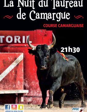 la nuit du taureau de camargue 2020