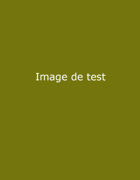 Annonce ticket #57445