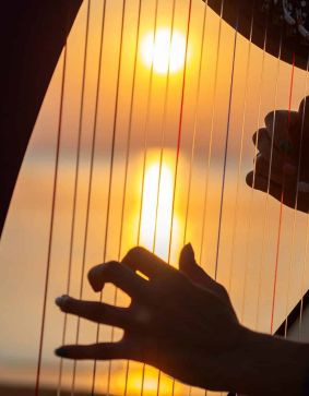 Soirée au son la HARPE basse saison