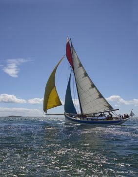 Sortie journée HOUAT Haute saison