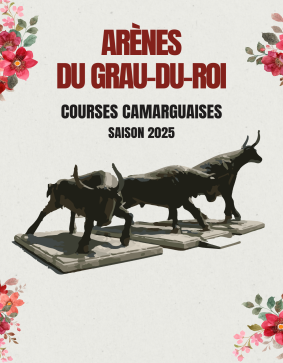 20.04.25 - COURSE CAMARGUAISE