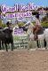 Culture - RODÉO CAMARGUAIS - MAI 2025