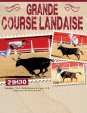 COURSE LANDAISE - ÉTÉ...