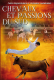 Loisirs - CHEVAUX ET PASSIONS DU SUD - 2025