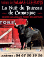 LA NUIT DU TAUREAU DE...