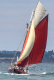 Bateau - Balade fin d'après-midi UNITY