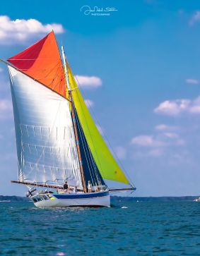 Sortie Journée HOEDIC  