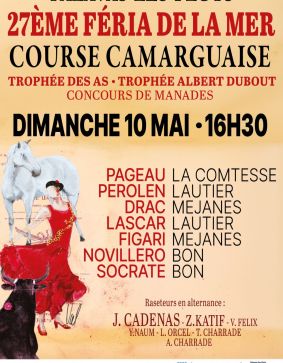 COURSE CAMARGUAISE - 10/05/26