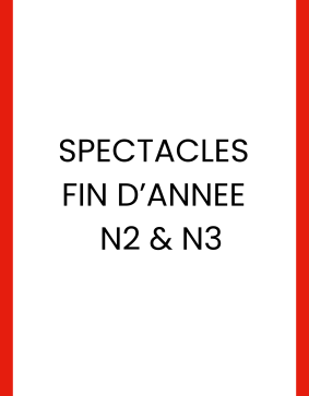 N2 & N3 Spectacle fin d'année