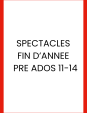 Pre-ado (11-14) Fin d'...